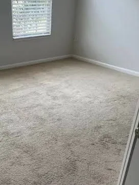 Before: a beige bedroom carpet with grey traffic marks through the middle