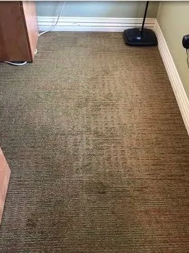 After: the same brown carpet with the dark spill gone